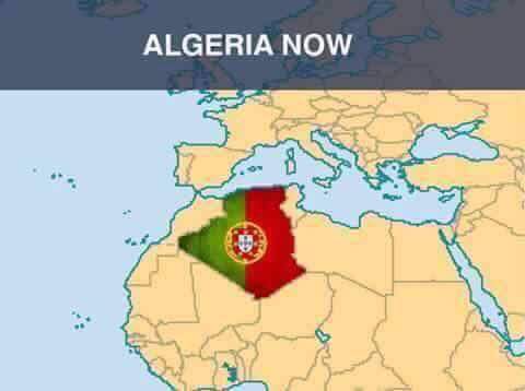 dia-portugal algérie