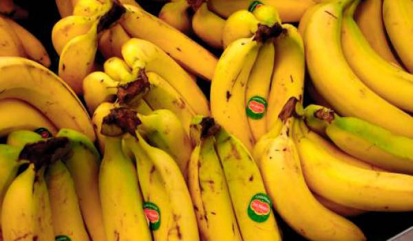 Le retour de outlet la banane