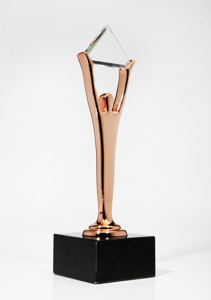 DIA-Bronze Stevie Award